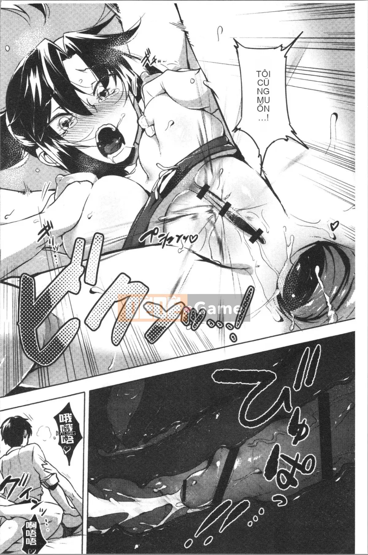 [4K Hanhuagumi][Giả] Nisebon