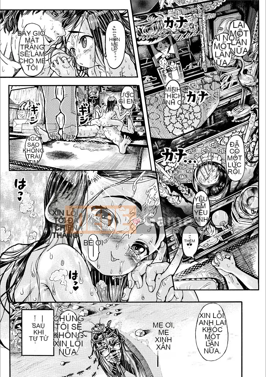 [Trai Đẹp Vô Song] Gái Bốn Mùa