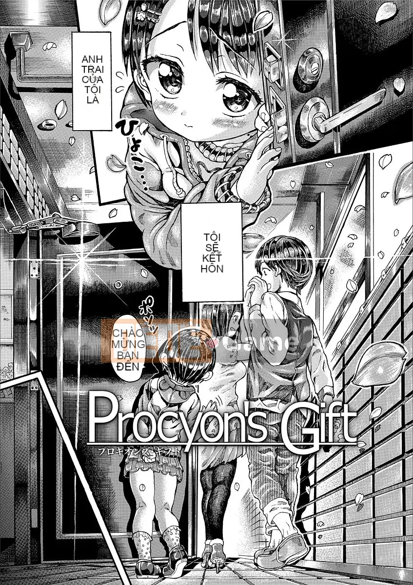 [Trai Đẹp Vô Song] Gái Bốn Mùa