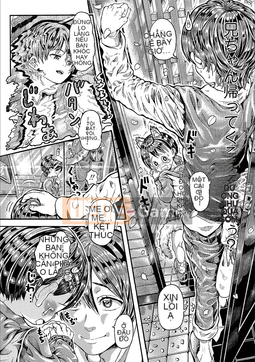 [Trai Đẹp Vô Song] Gái Bốn Mùa