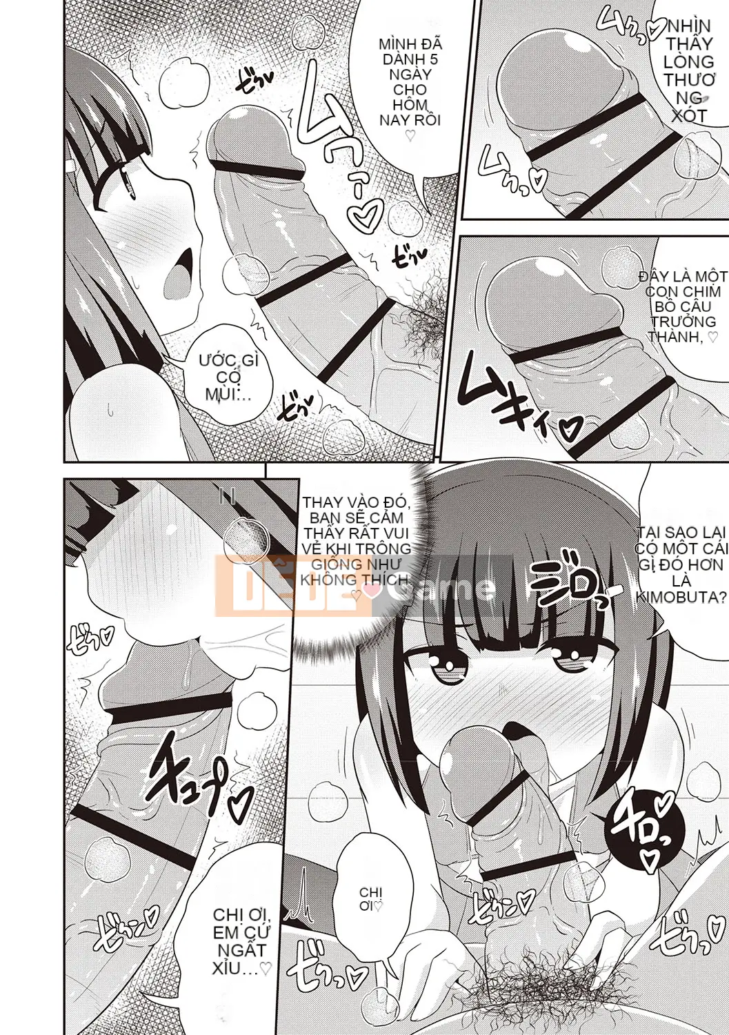 [Chinzurina] Bách khoa toàn thư Mesuiki Shonen♡