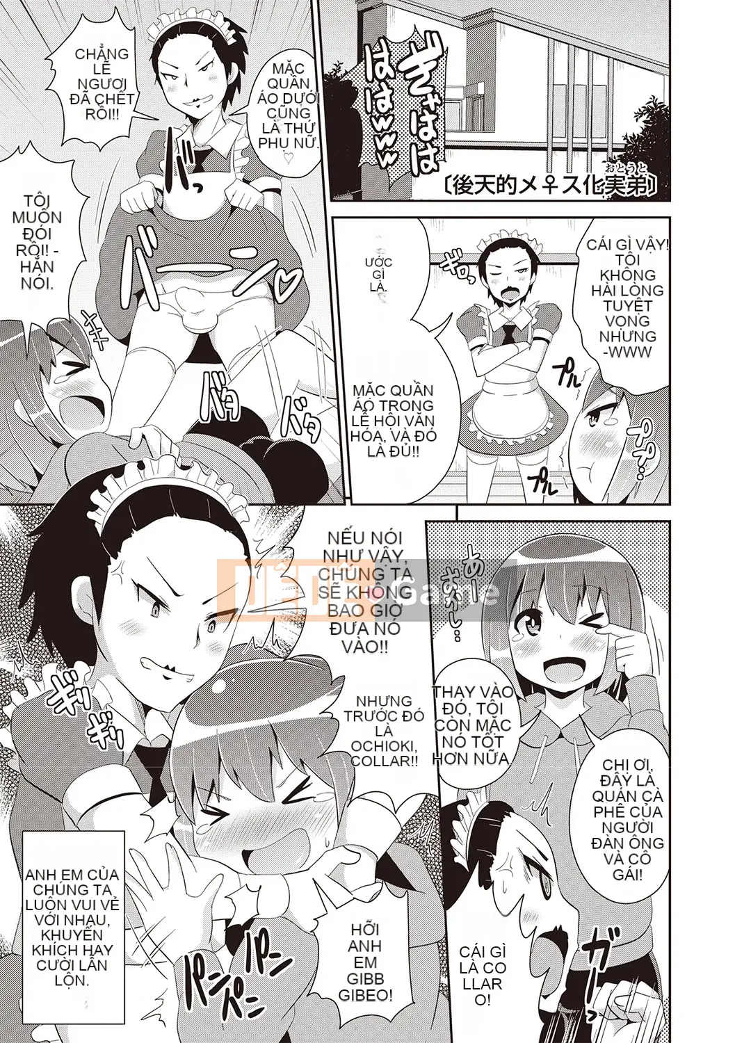 [Chinzurina] Bách khoa toàn thư Mesuiki Shonen♡