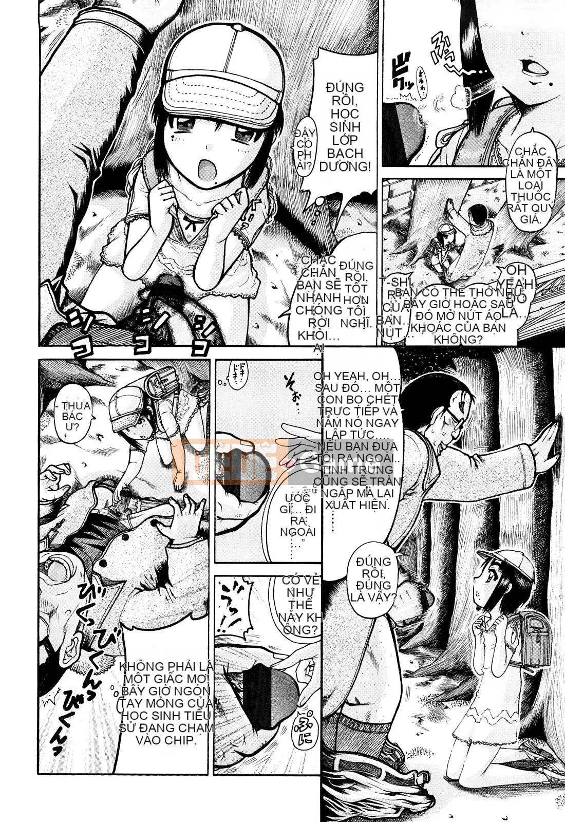 [Awaji Himeji] Miseijoku