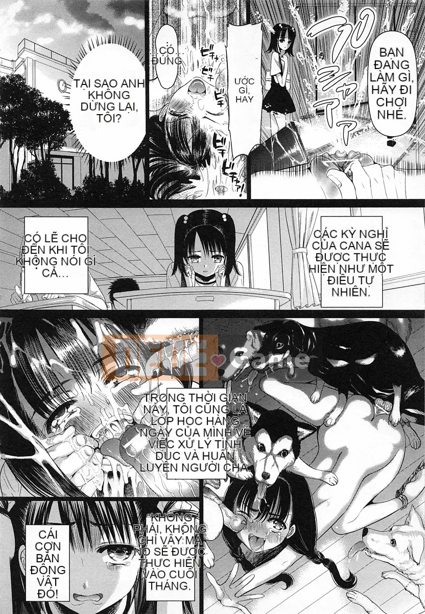 [Sadokko] Hình nhân thỉnh nguyện