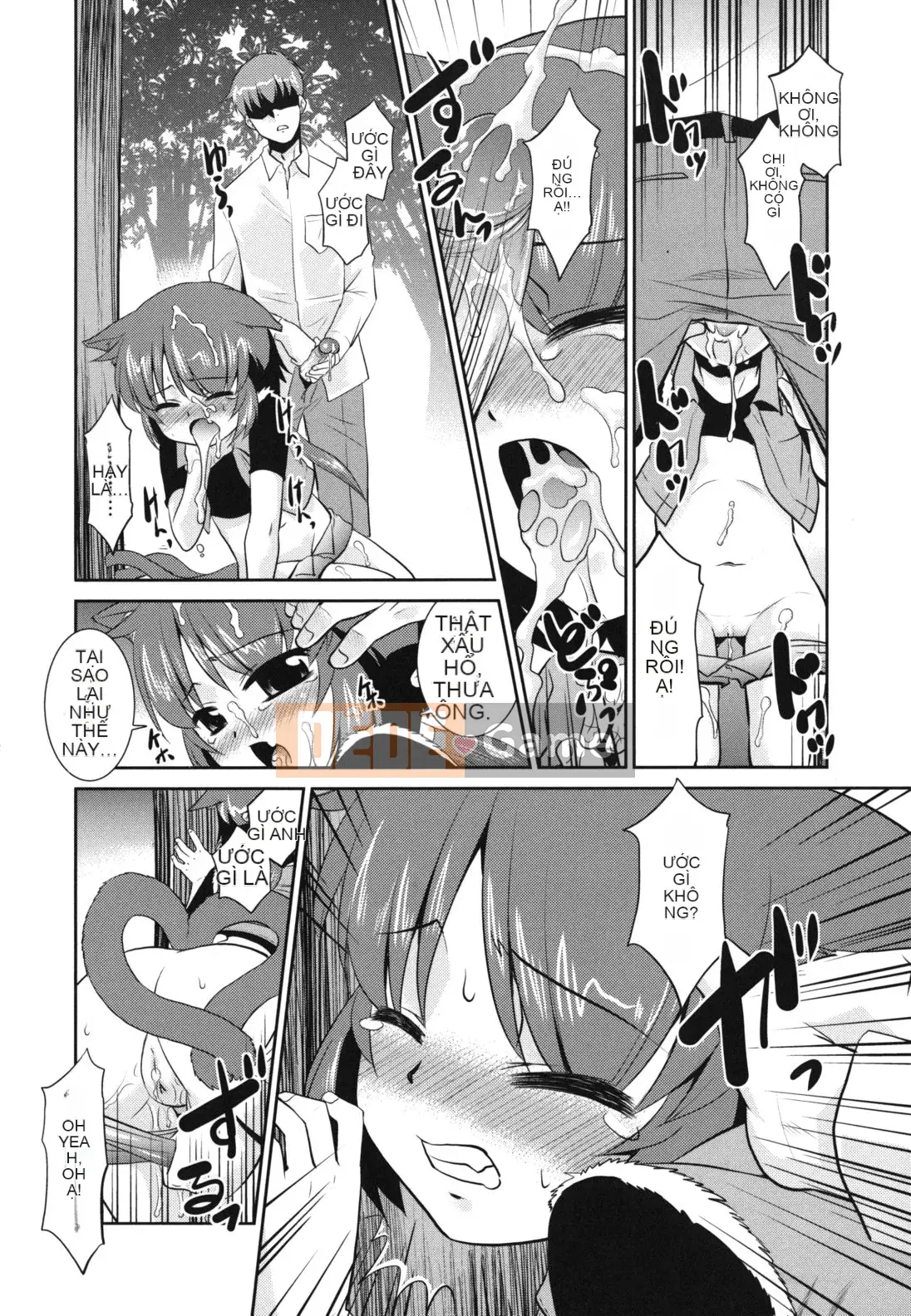 [Nekogen] Minna no Sensei