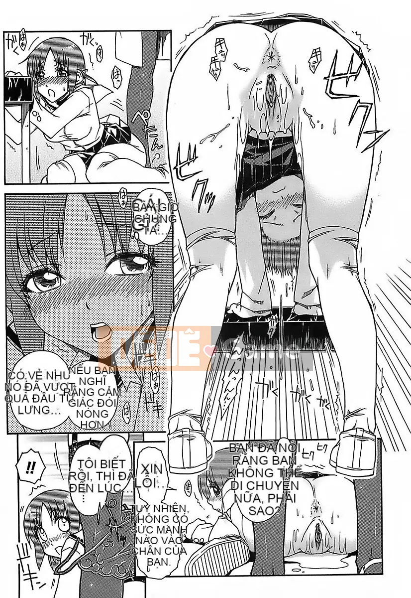 [Isorashi] Bạn có thể thích nó ♥