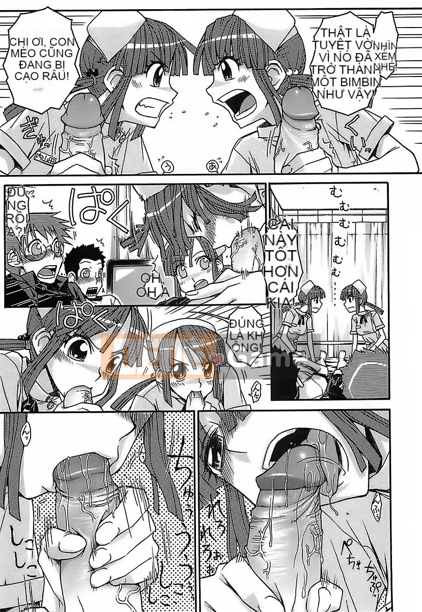 [Isorashi] Bạn có thể thích nó ♥