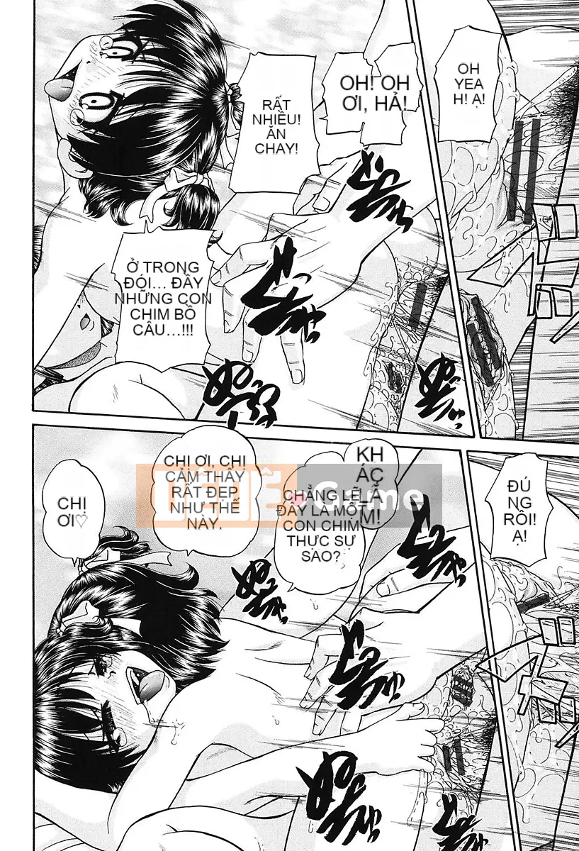 [Harugo Susumu] Kế hoạch chinh phục trường tiểu học của nữ sinh