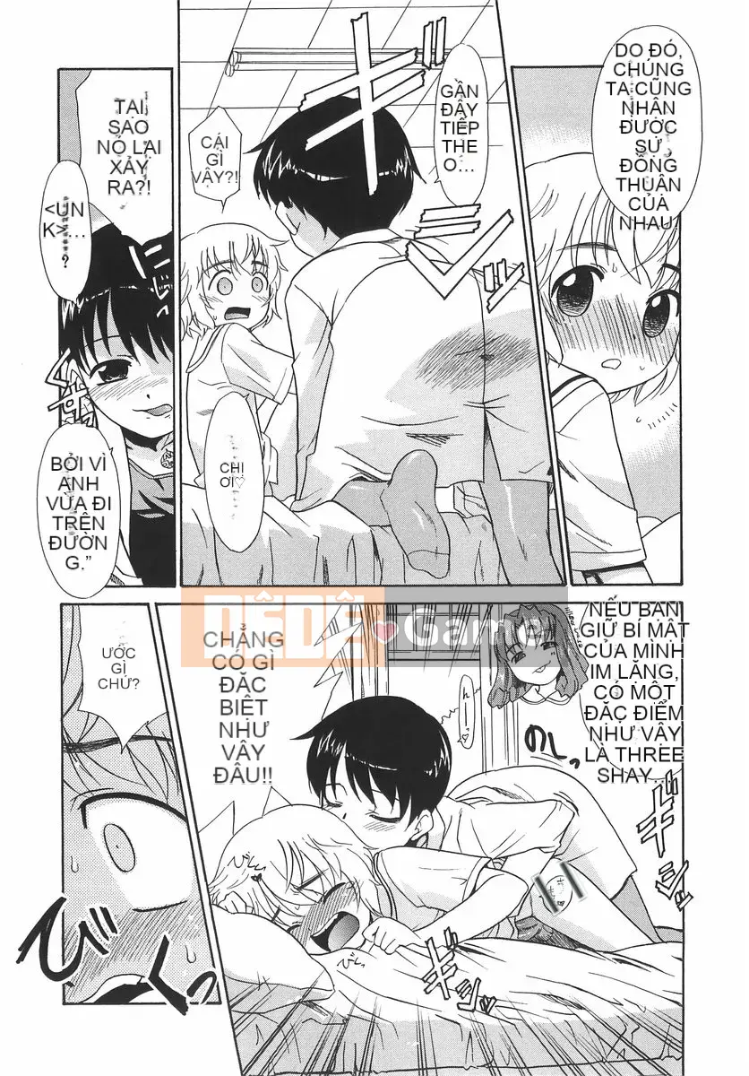 [Nekogen] PHÒNG Mashu hoảng loạn!