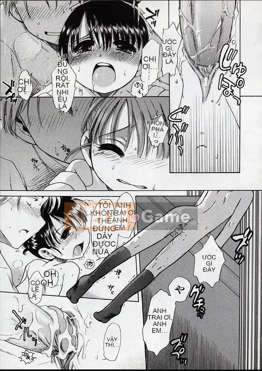 [Inuboshi] Kem Ngọt