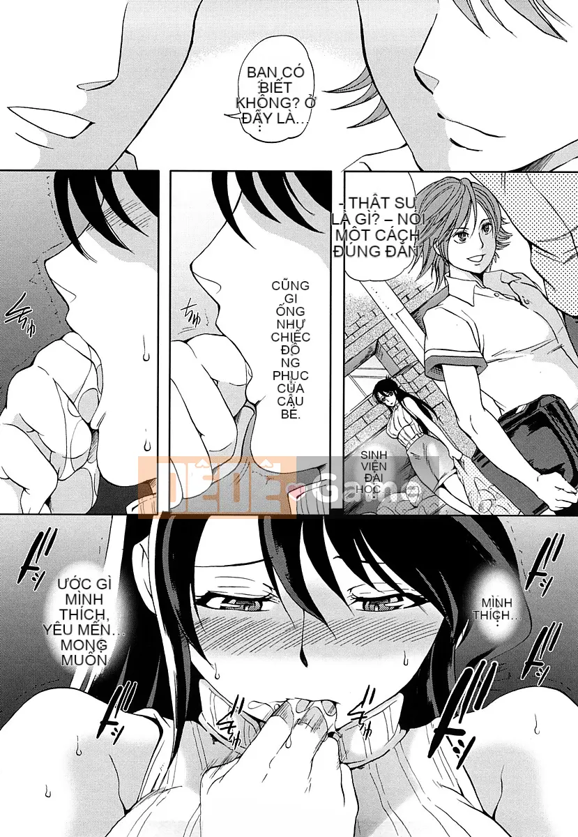 [Sữa có đường] Piegurumi