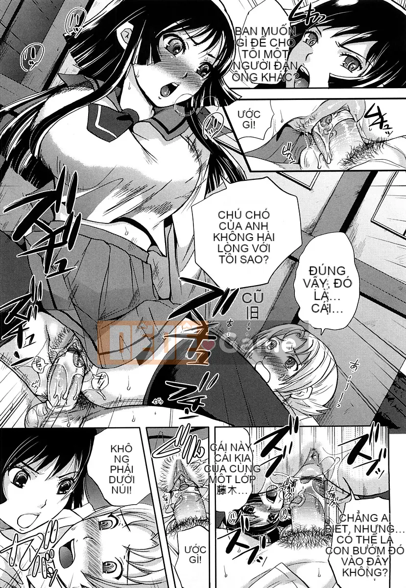 [Sữa có đường] Piegurumi