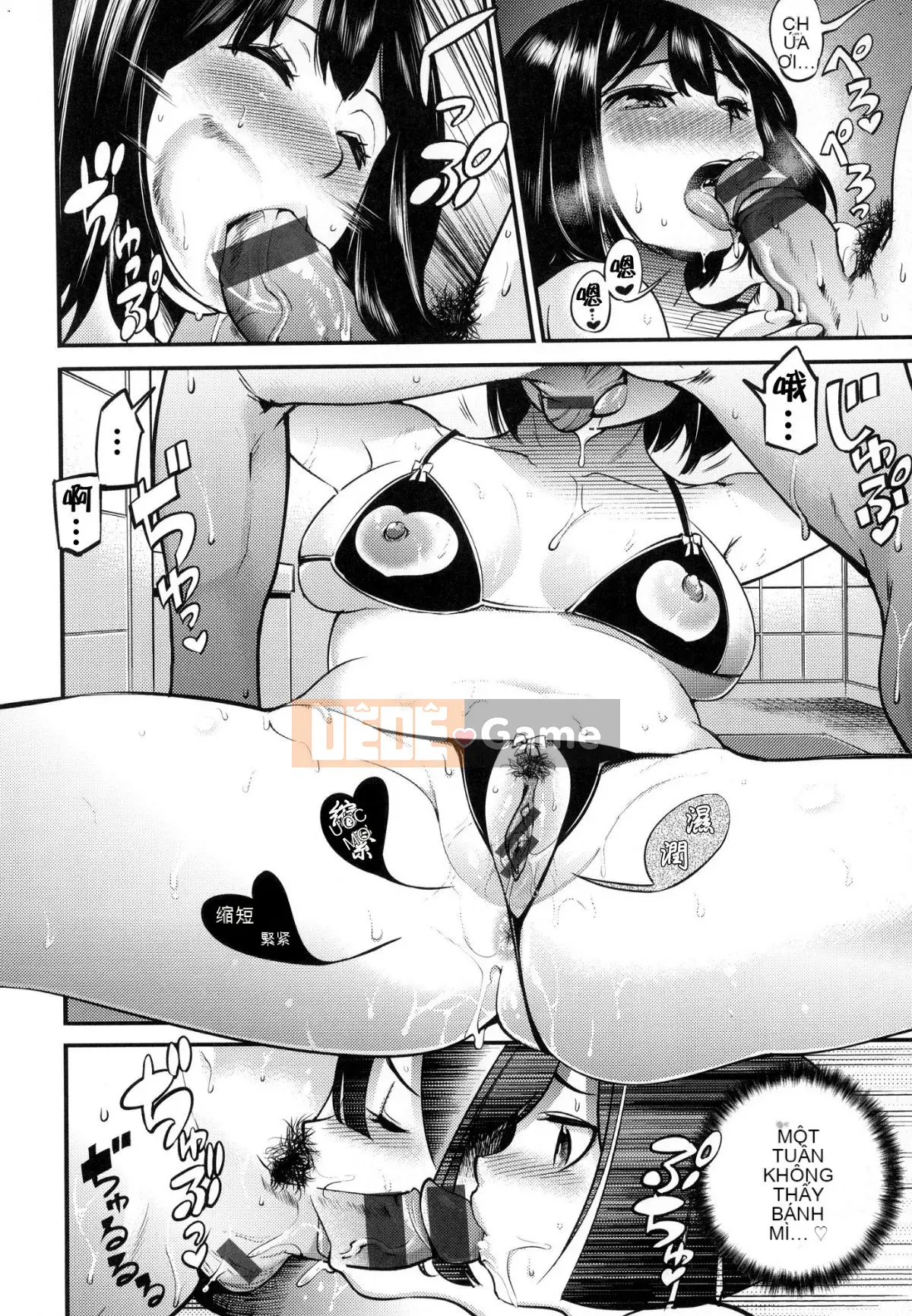 [Hán hóa xưởng gió][SAVAN] スイートデイズ những ngày ngọt ngào