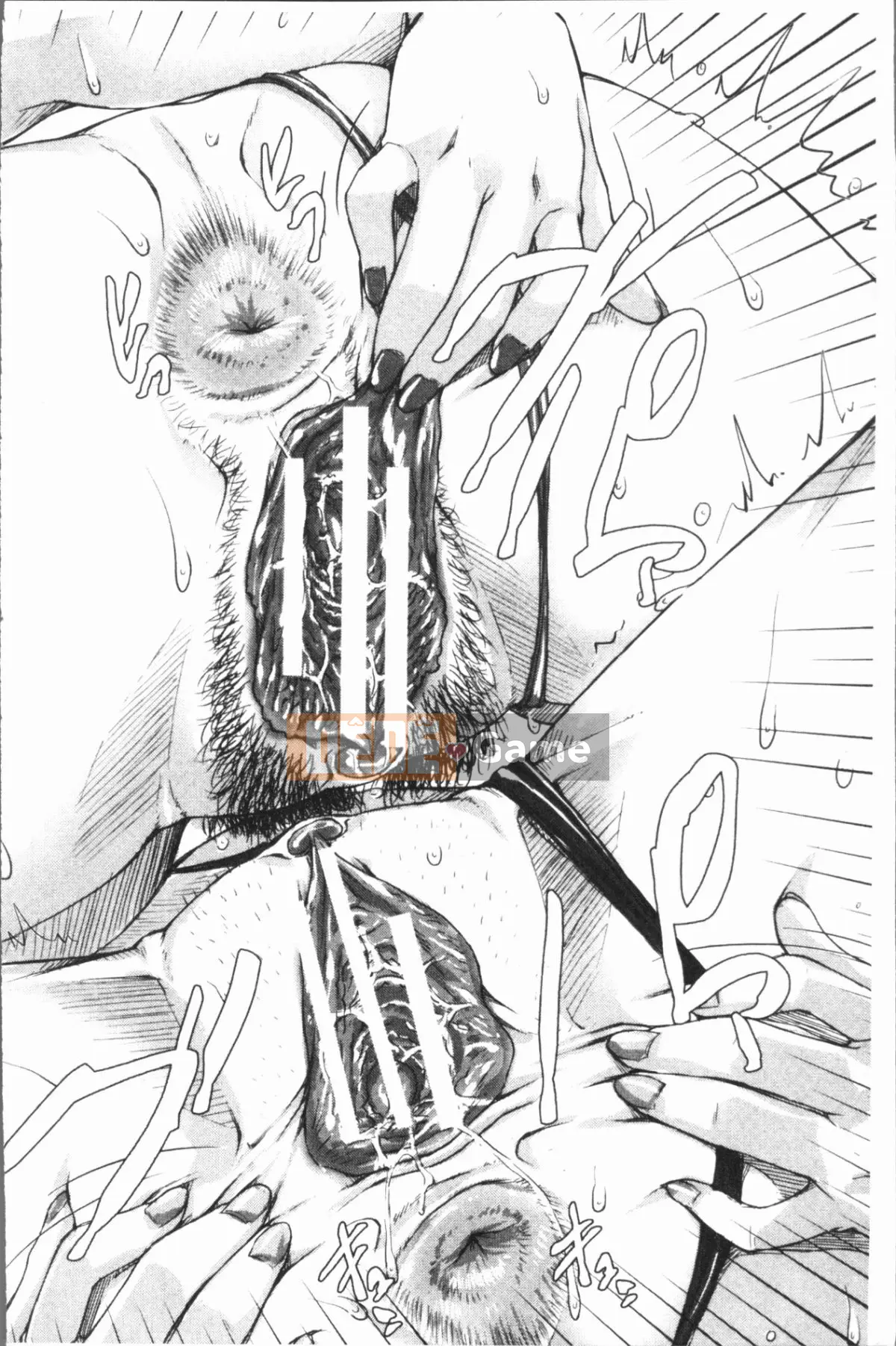 [4K Hankagumi][Sayazumi] Tôi thích gà trống vị thành niên!