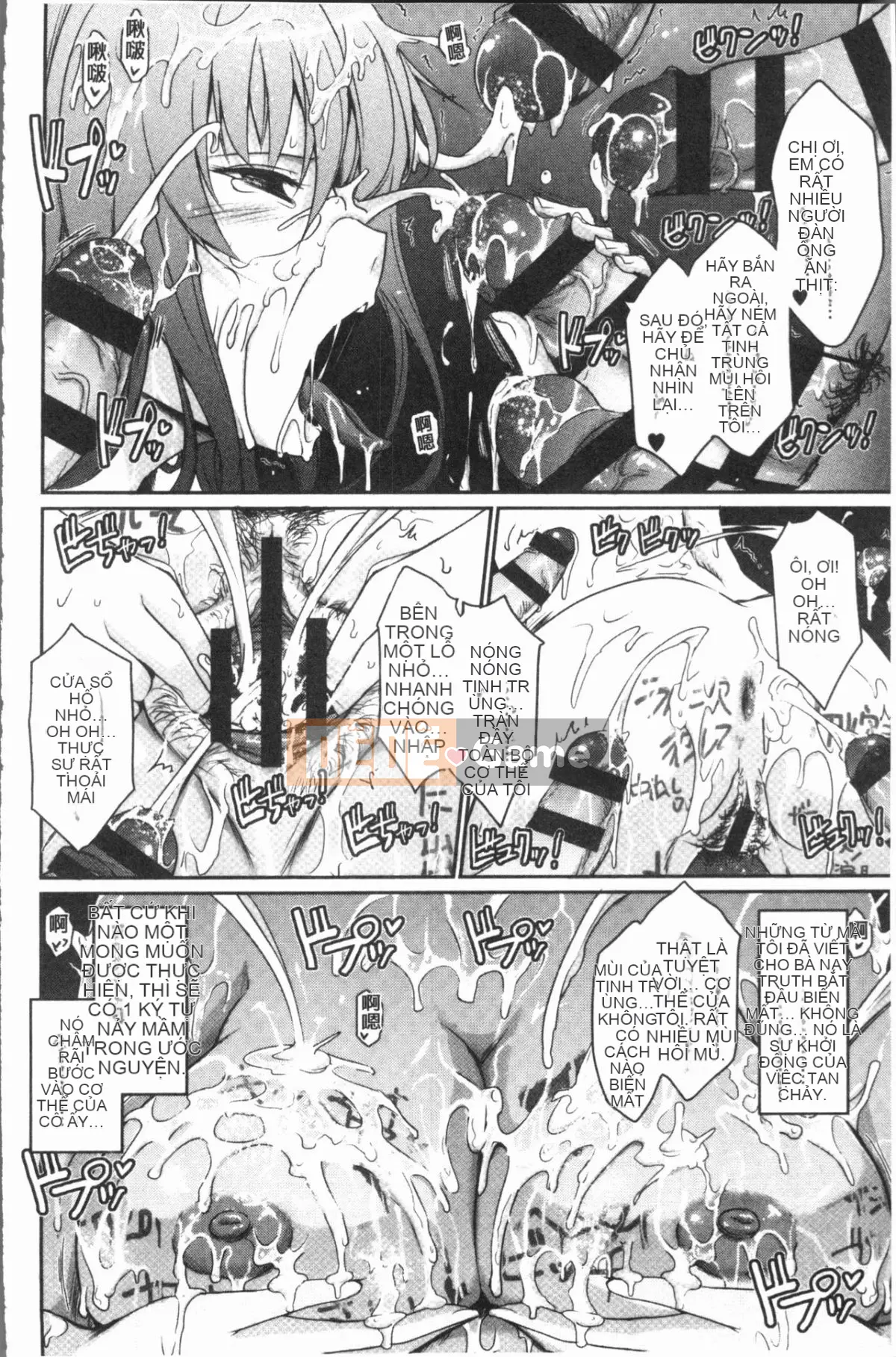 [4K Hanhuagumi][TANA] Bộ sưu tập phơi sáng