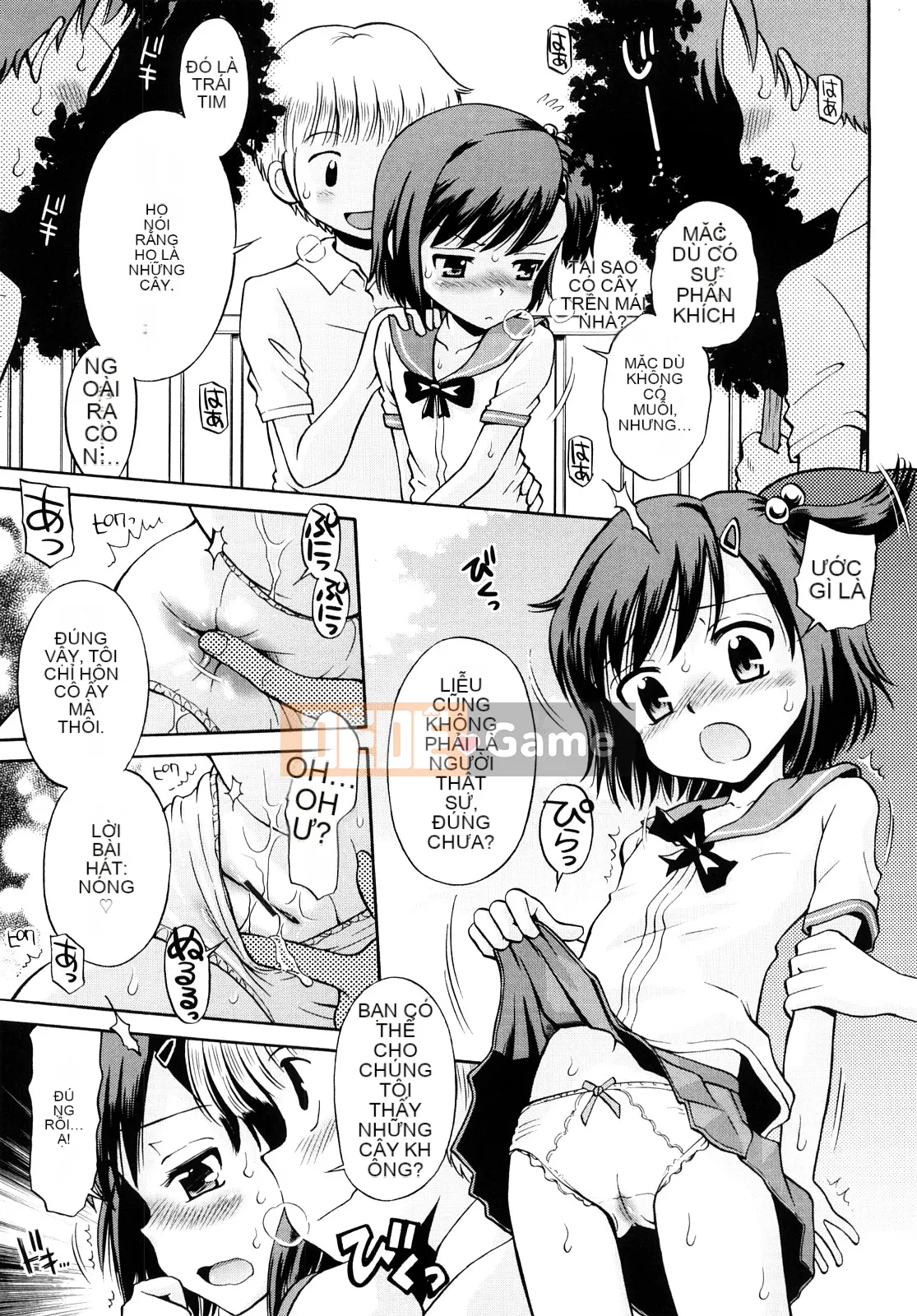 [Tamachi Yuki] Màu lúa mì Rhapsody