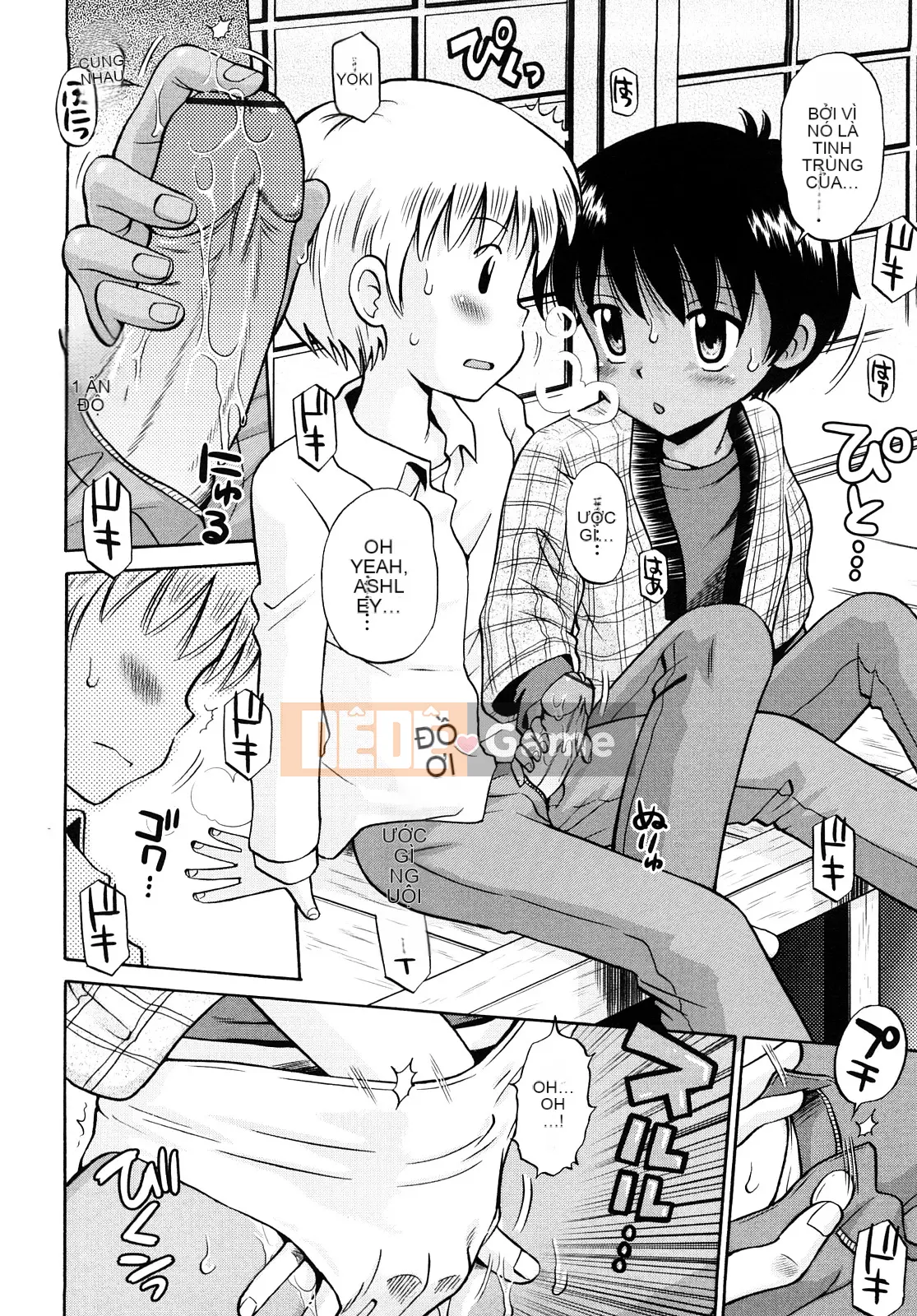 [Tamachi Yuki] Màu lúa mì Rhapsody