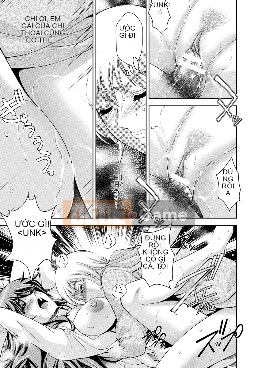 Hươu nhảy ngựa 2