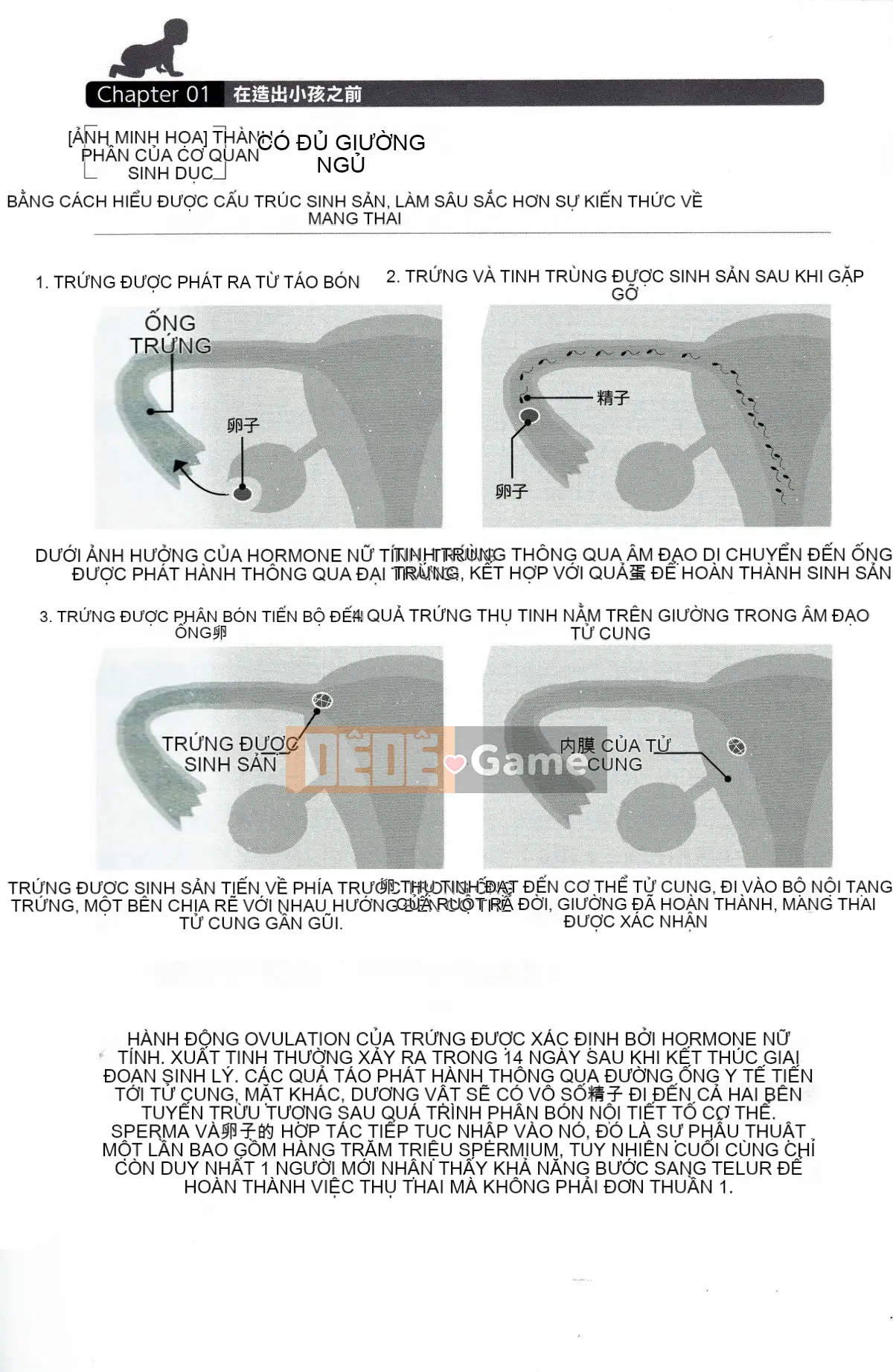 [Nhóm nghiên cứu tình yêu cuồng nhiệt] Giải thích chi tiết về quan hệ tình dục và mang thai mà không cần thực hiện Cách sinh con [tiếng Trung] [哔咔哔咔汉化组]