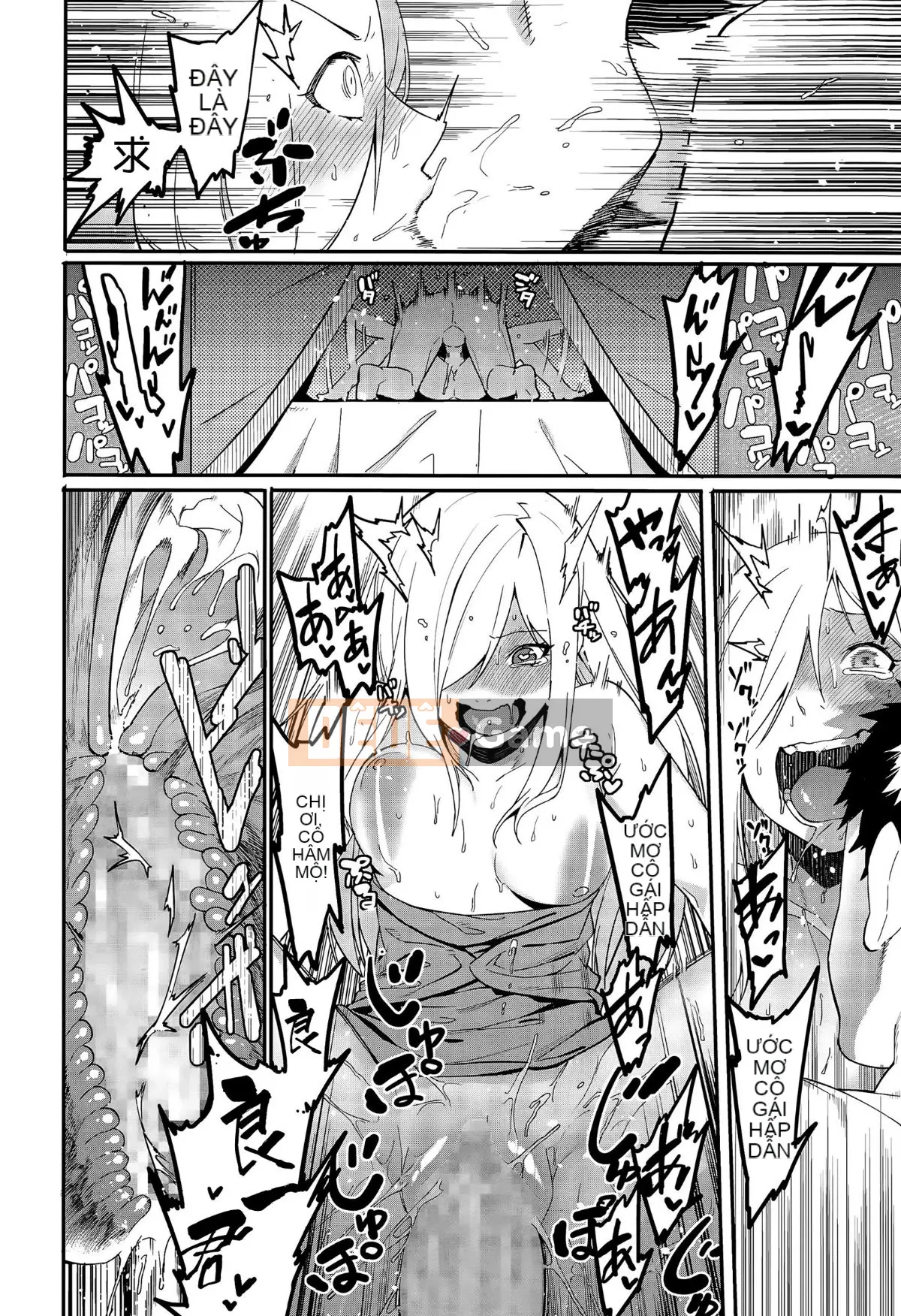 [Menea the Dog] Tươi sáng, vui vẻ và dễ chịu