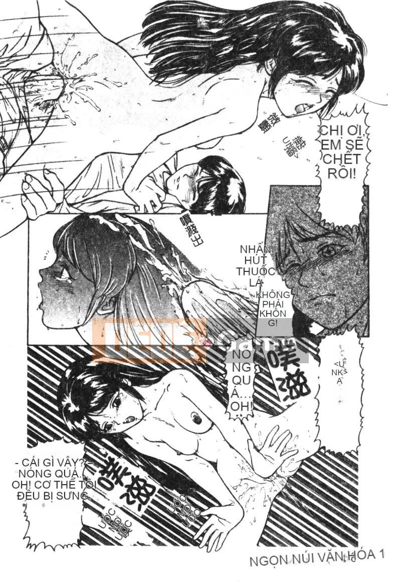 [Tsuyoshi Matsuzaka] Búa phù thủy [Trung bình]