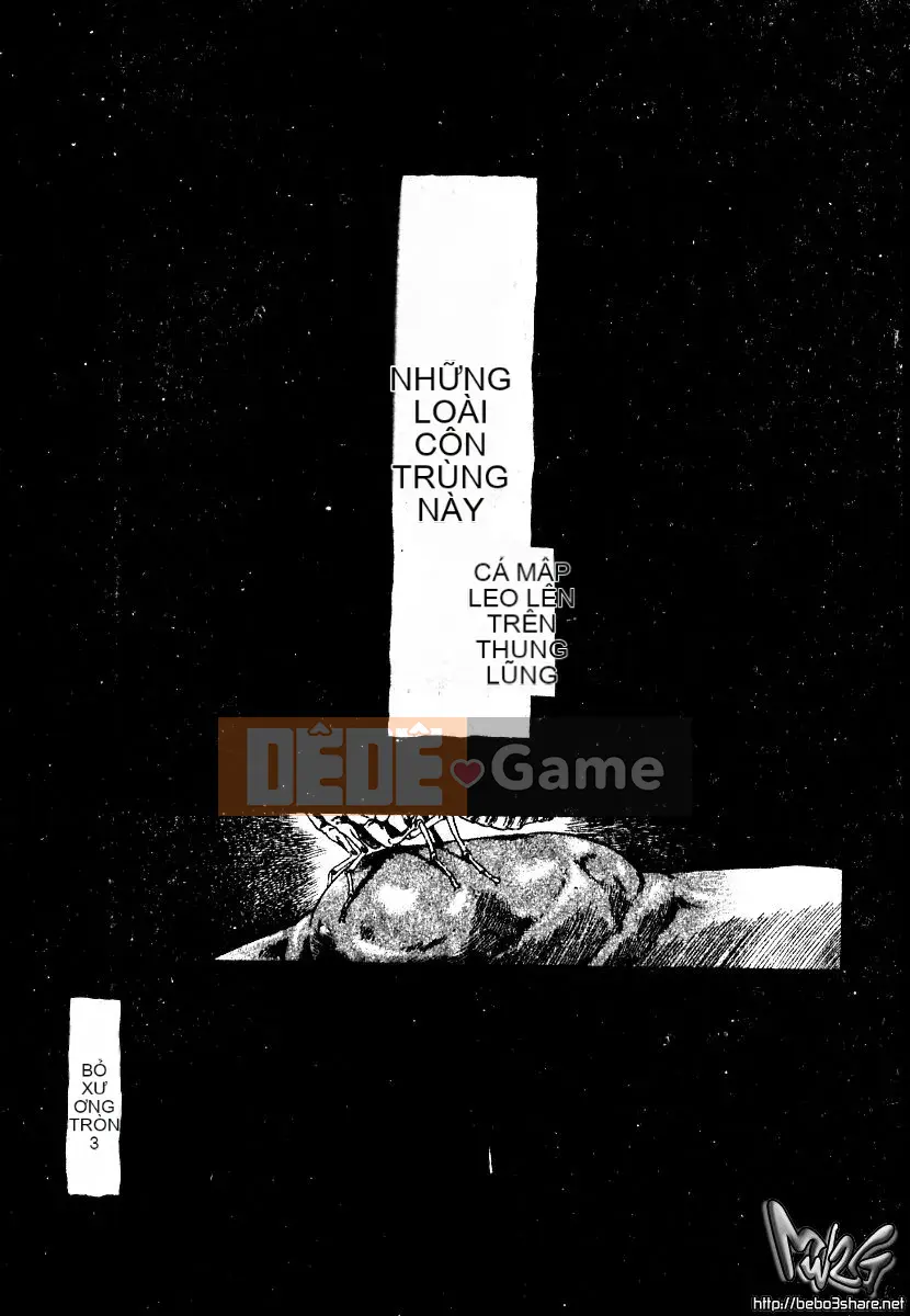 [Tuyển tập] Bishoujo Masyou Choukyou [Chuu]