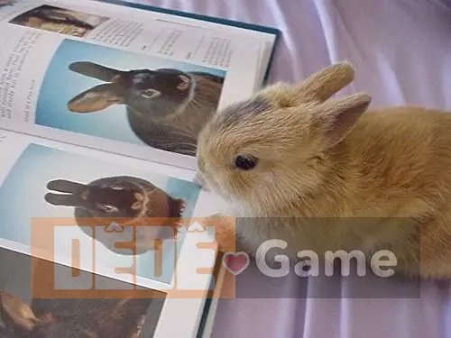 Thuần Hóa Người Quản Gia 1 - 44