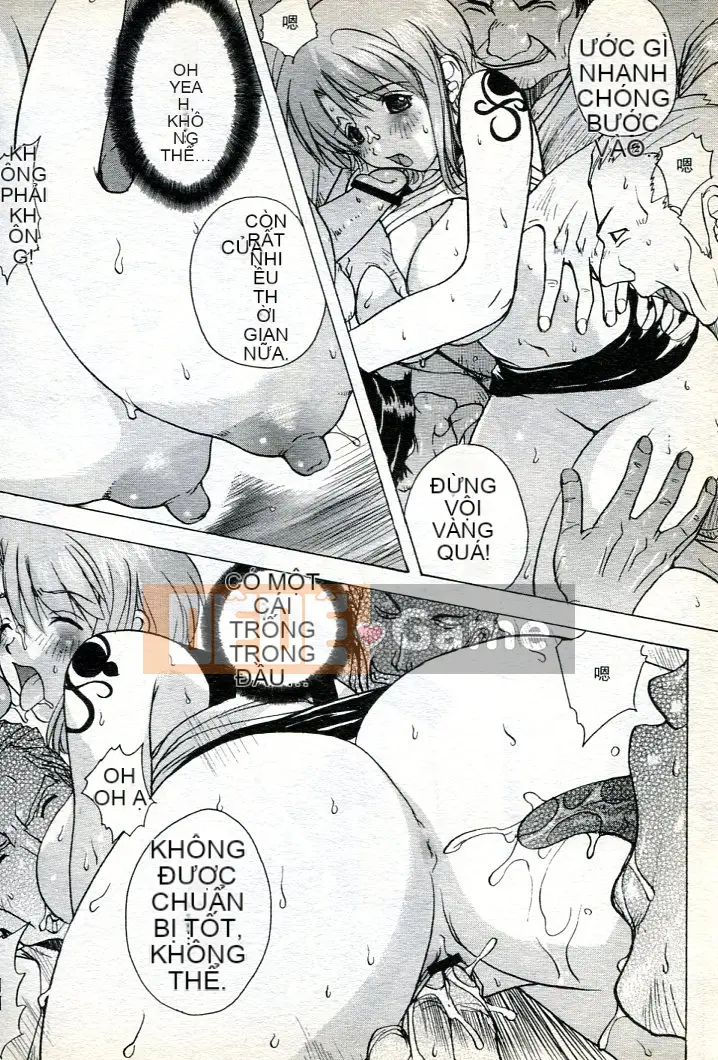 [Tuyển tập] Nữ hoàng hải tặc XV (One Piece) [Tiếng Trung]