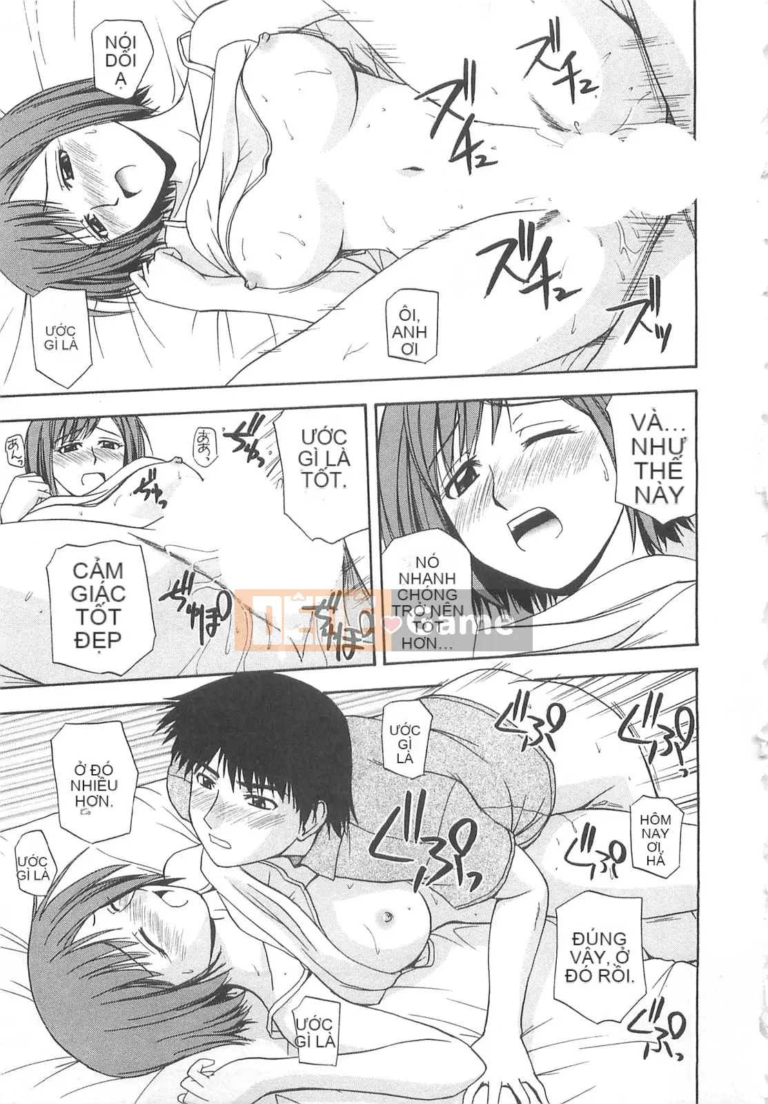 [Sato Chagashi] Cuộc sống may mắn