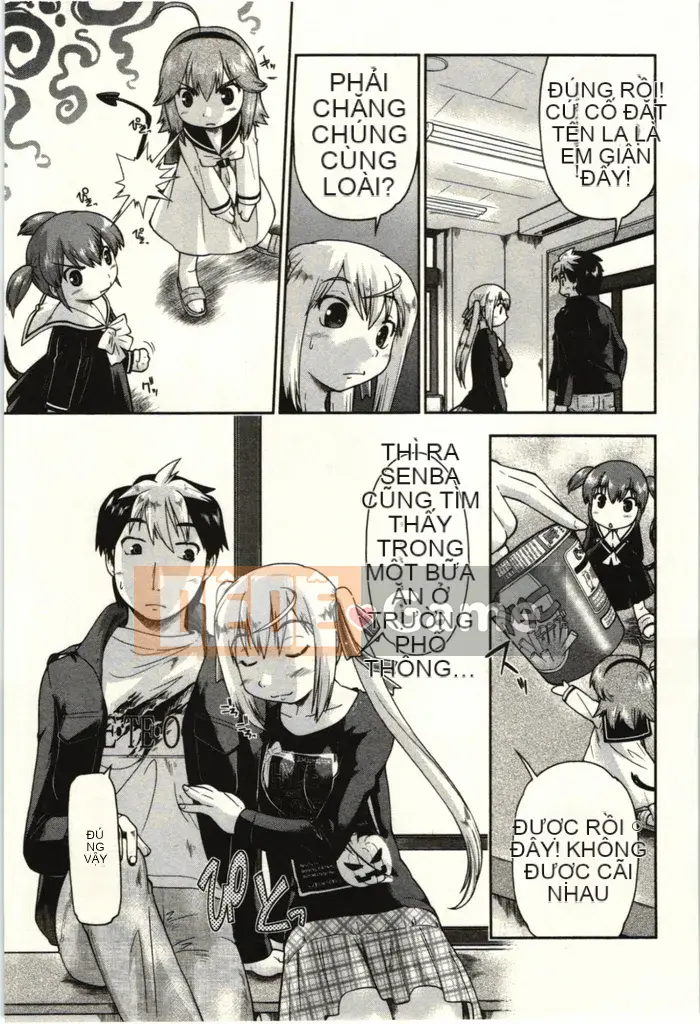 [Shun Akishima] Koakuma đang theo dõi!