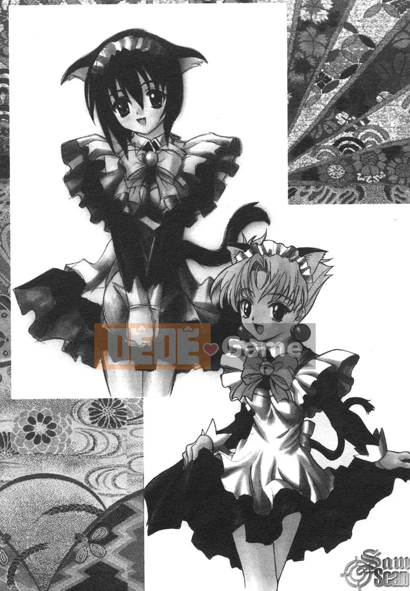 [Kaishaku] Sakuraka Taikou [Tiếng Trung]