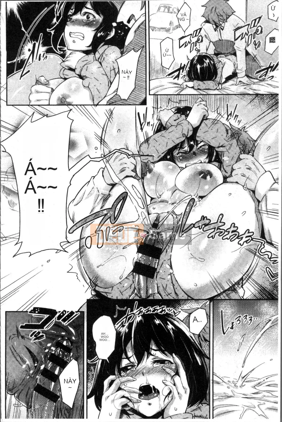 [Bộ lau nhà 4K][Gạo không cần vo] Kuchu Kuchu