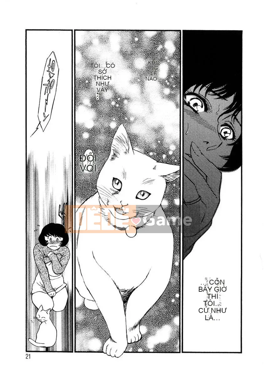 [Fujii Akiko] Mẫu vợ đã kết hôn 4 Người vợ ngây ngất