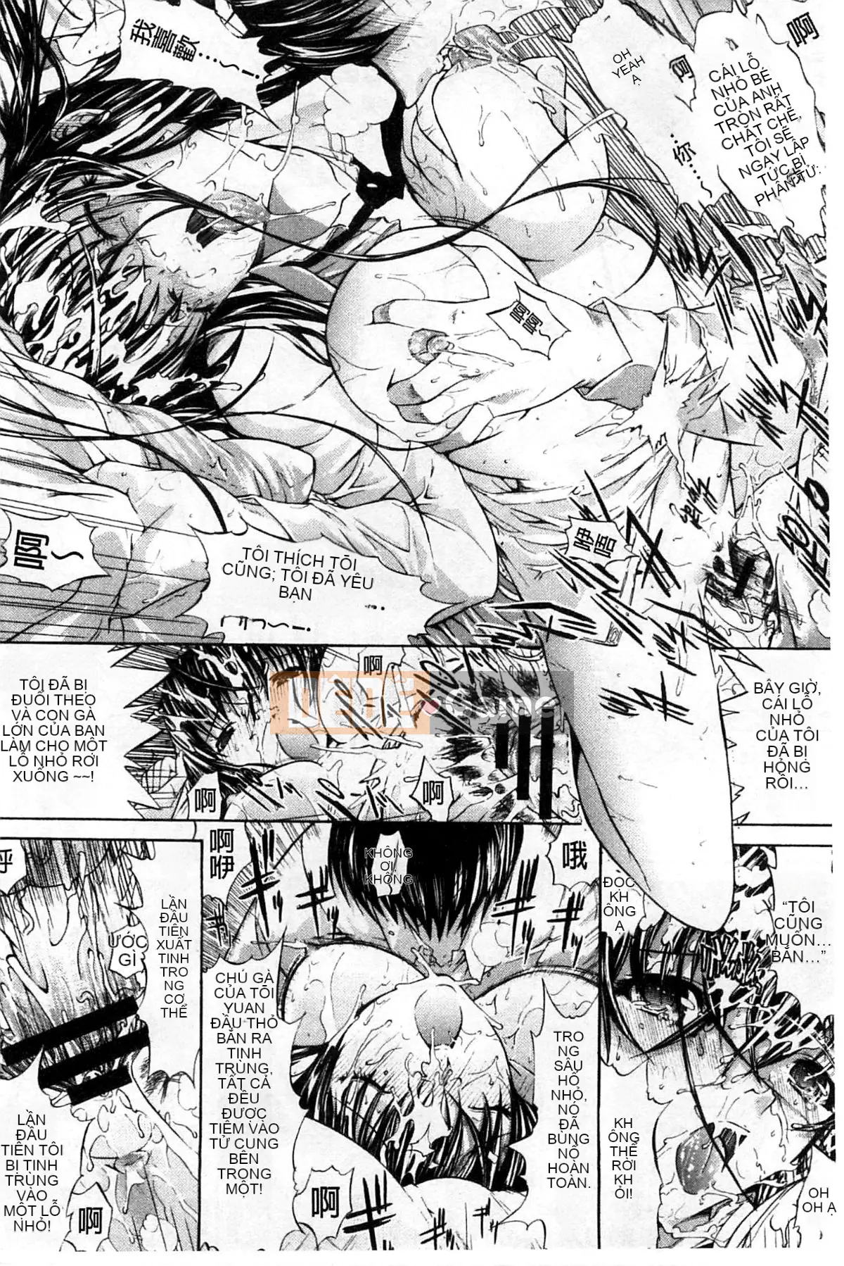 Thiết bị động dục