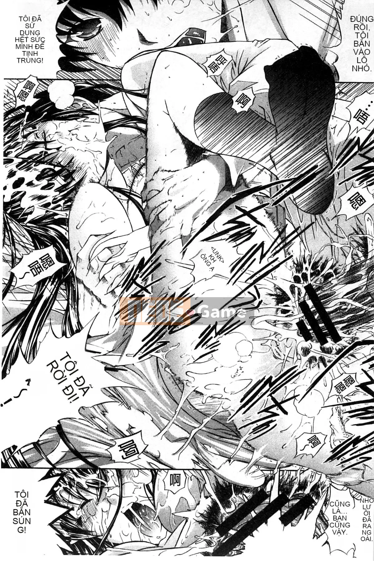 Thiết bị động dục