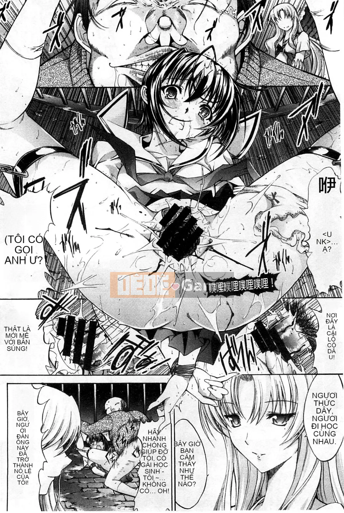 Thiết bị động dục