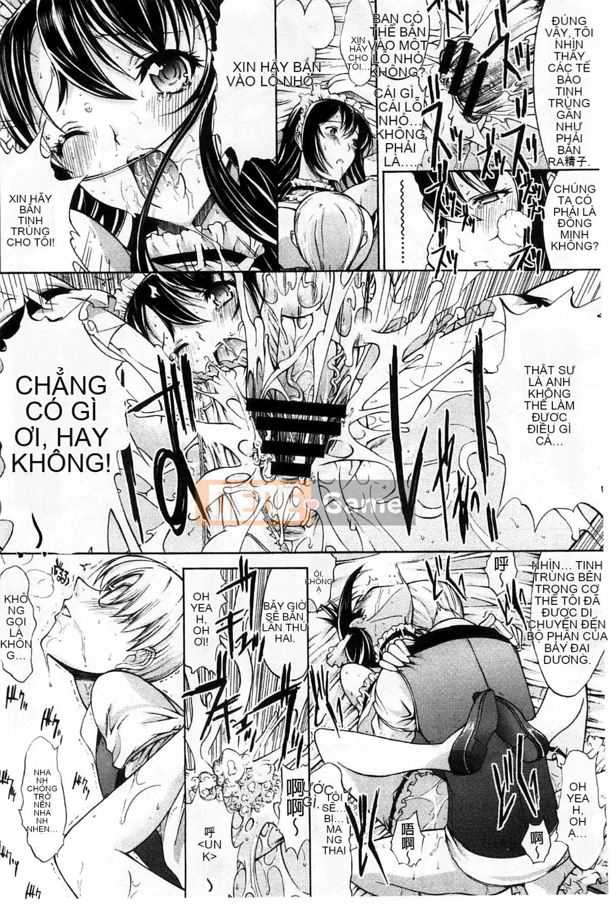 Thiết bị động dục