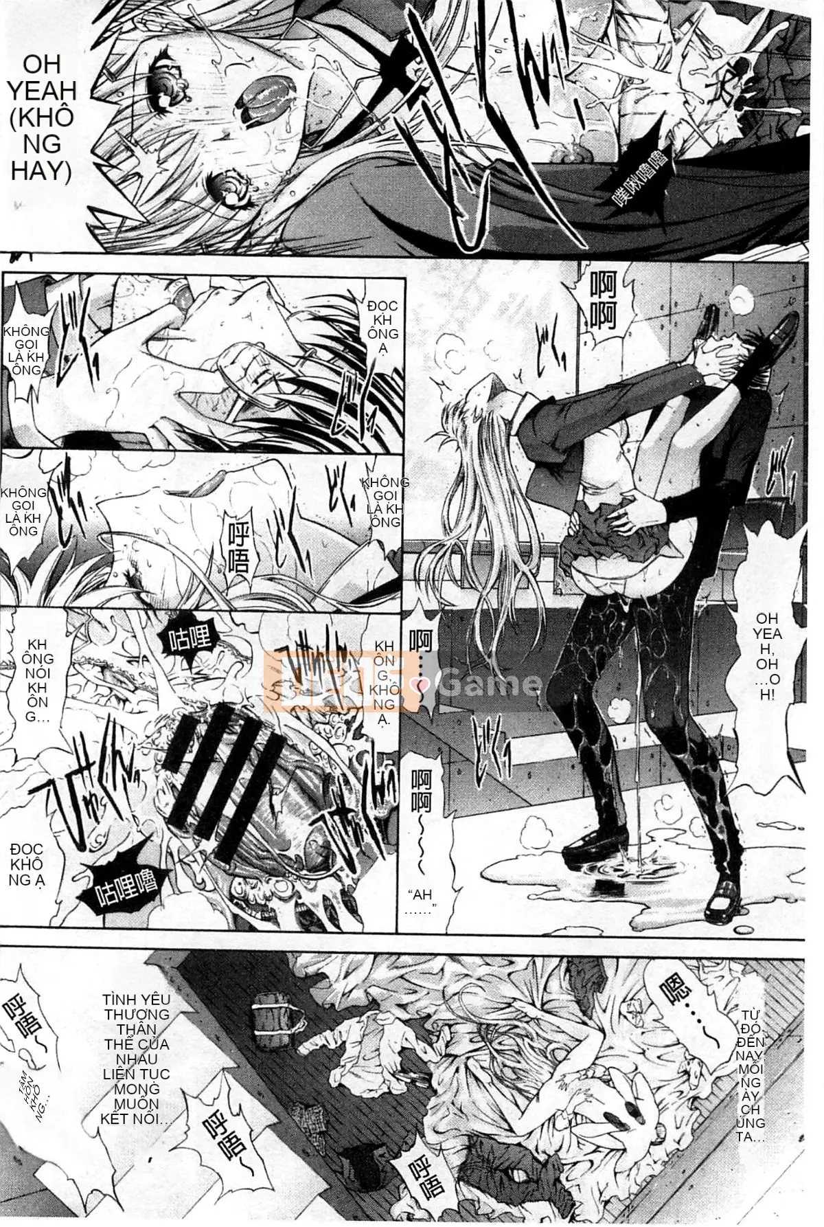 Thiết bị động dục