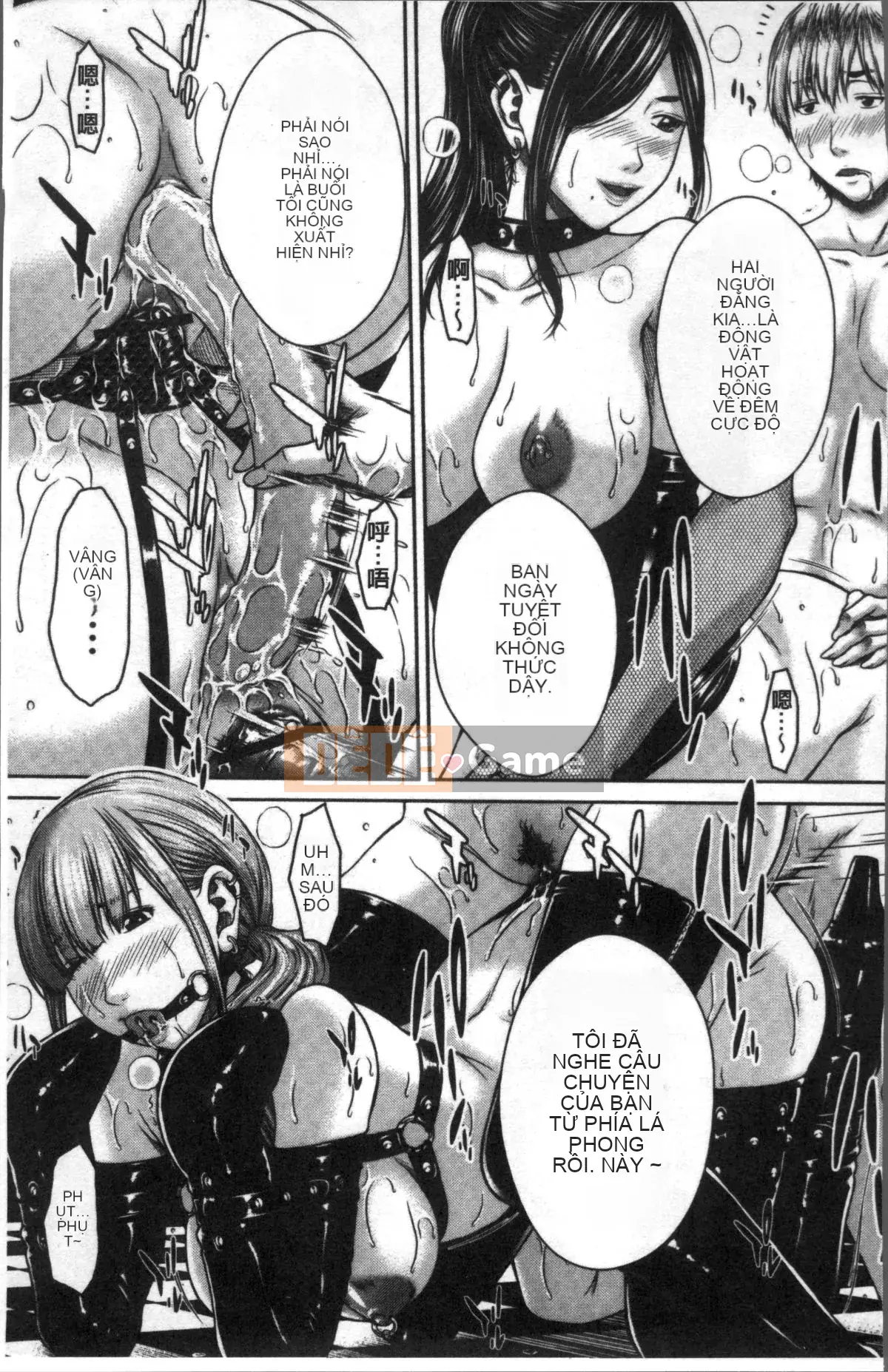 [Nhóm càn quét 4K][Naoya Ueno] Nhật ký đĩ điếm và dâm dục Hamekano