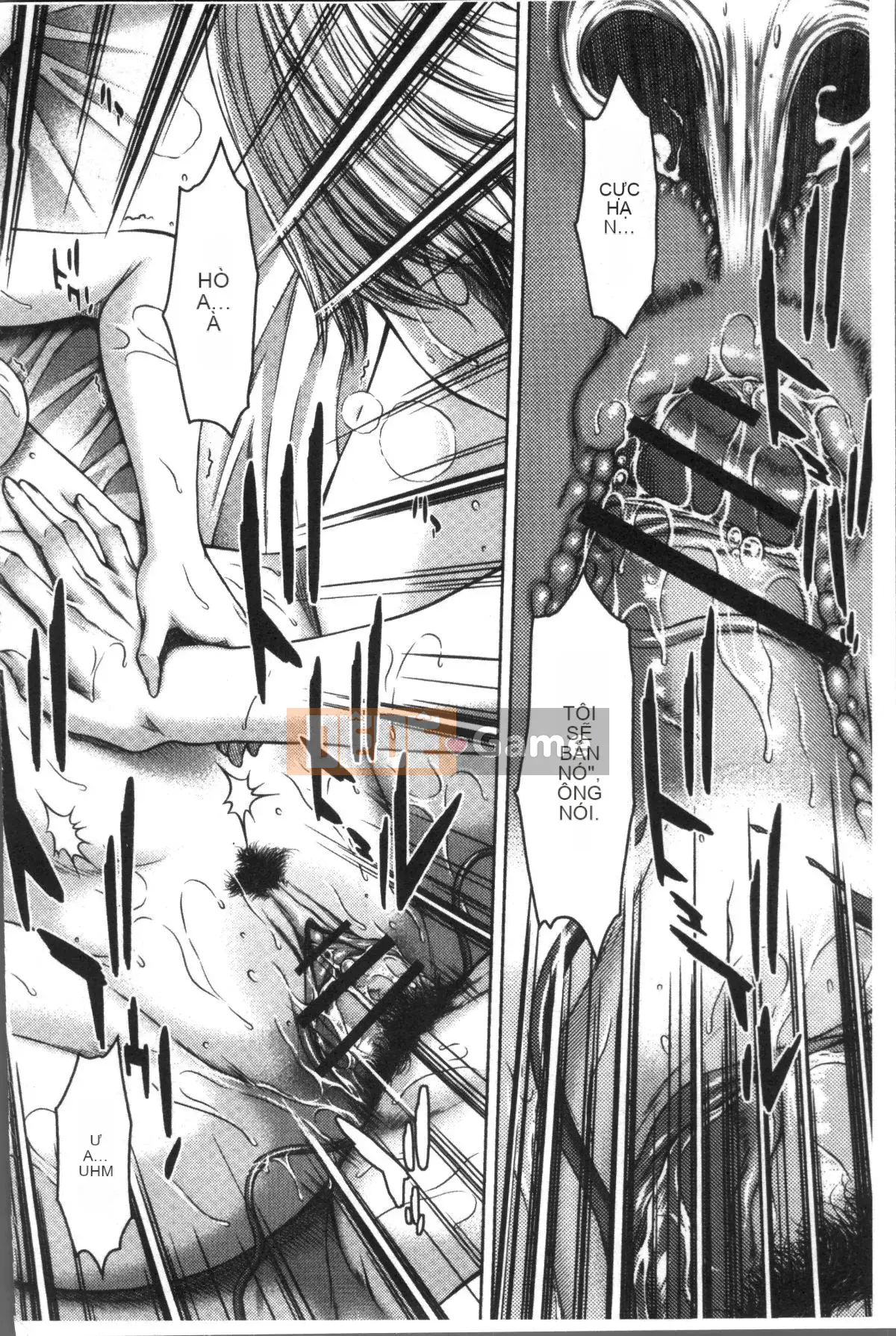 [Nhóm càn quét 4K][Naoya Ueno] Nhật ký đĩ điếm và dâm dục Hamekano