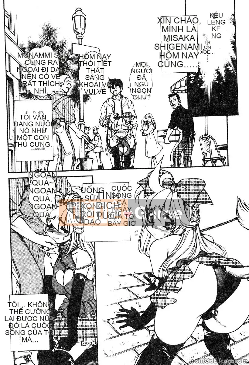 [Thỏ nhân từ] IDOL Tù nhân [Trung bình]