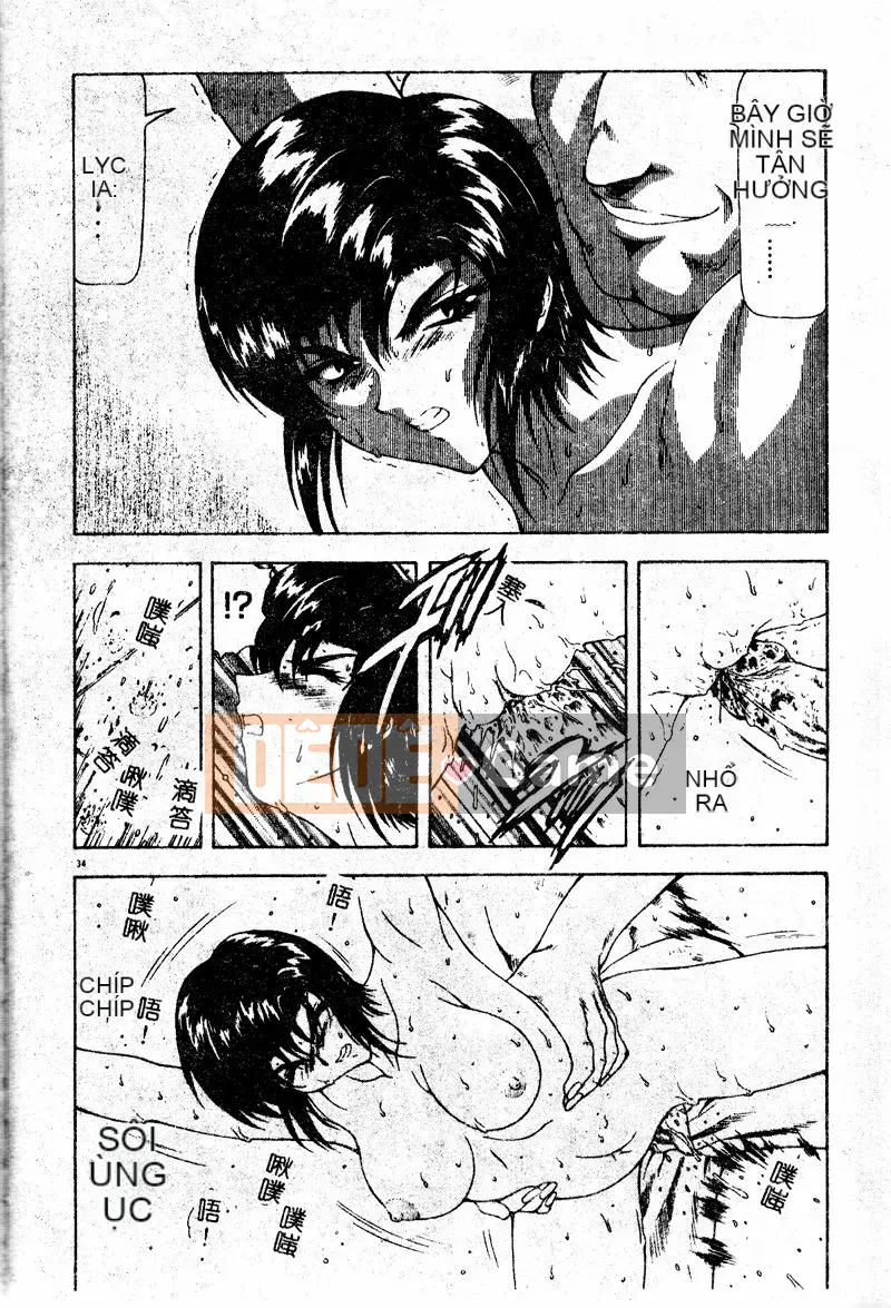 [Công lý phía trước] Bổ sung sự thật [Trung bình]