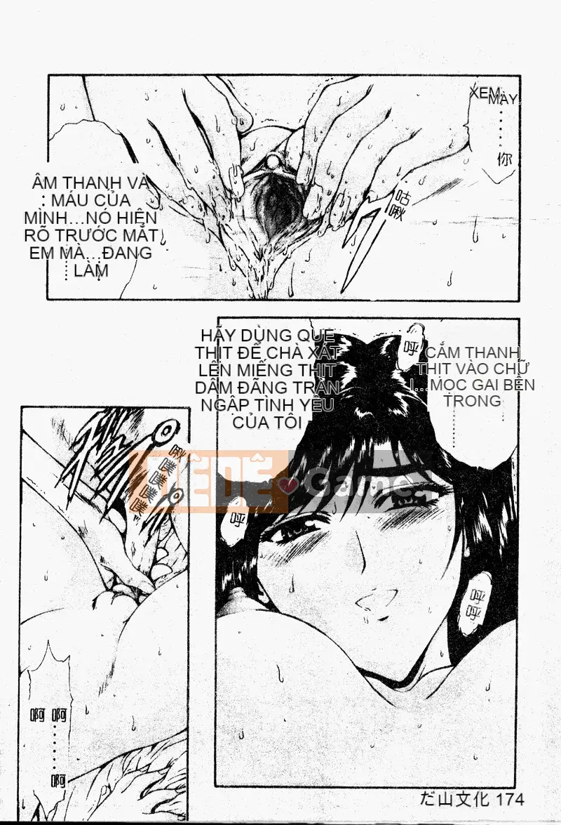 [Công lý phía trước] Bổ sung sự thật [Trung bình]