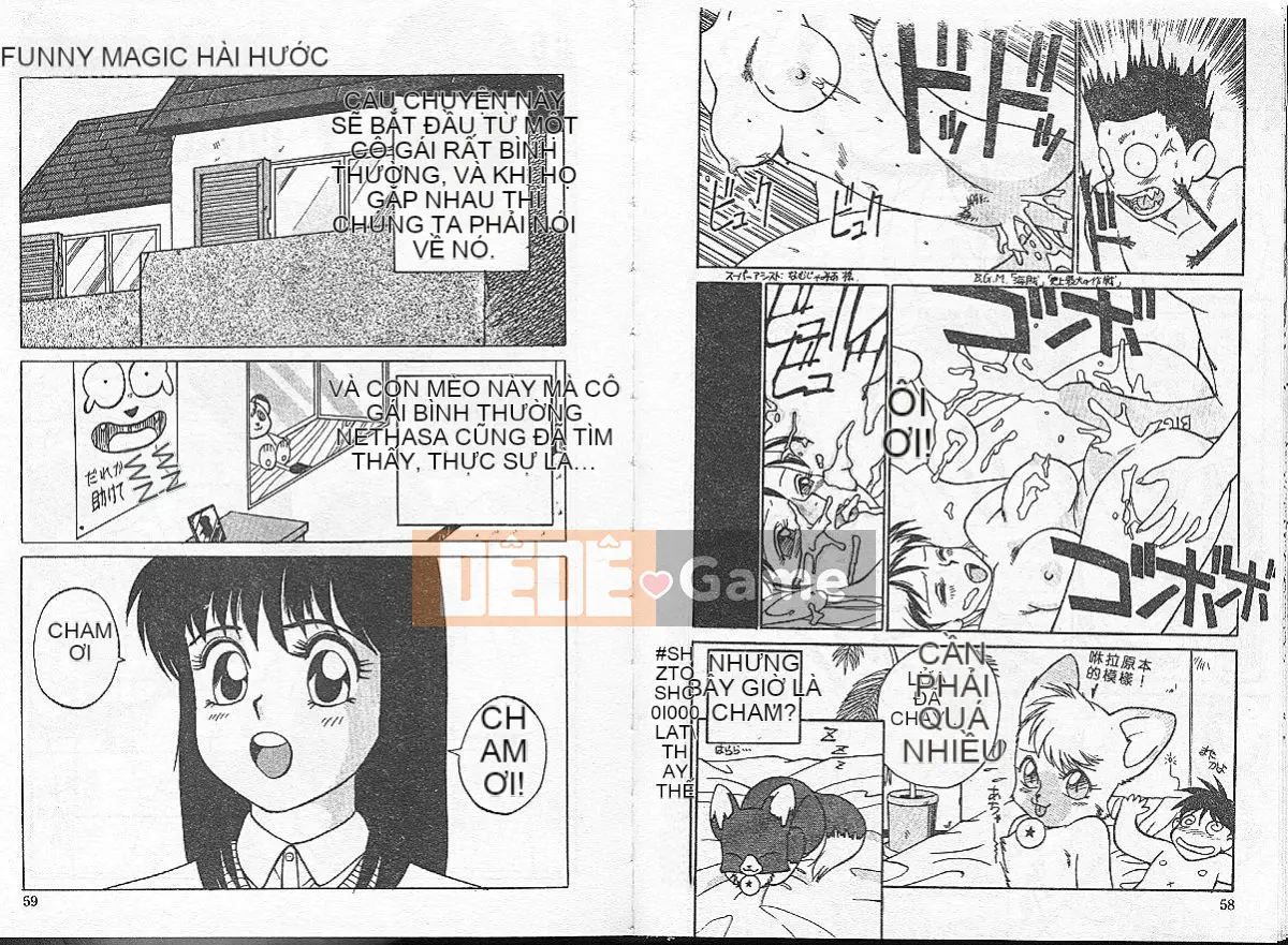 [TRUMP] Quyến rũ con mèo 1 [Trung bình]