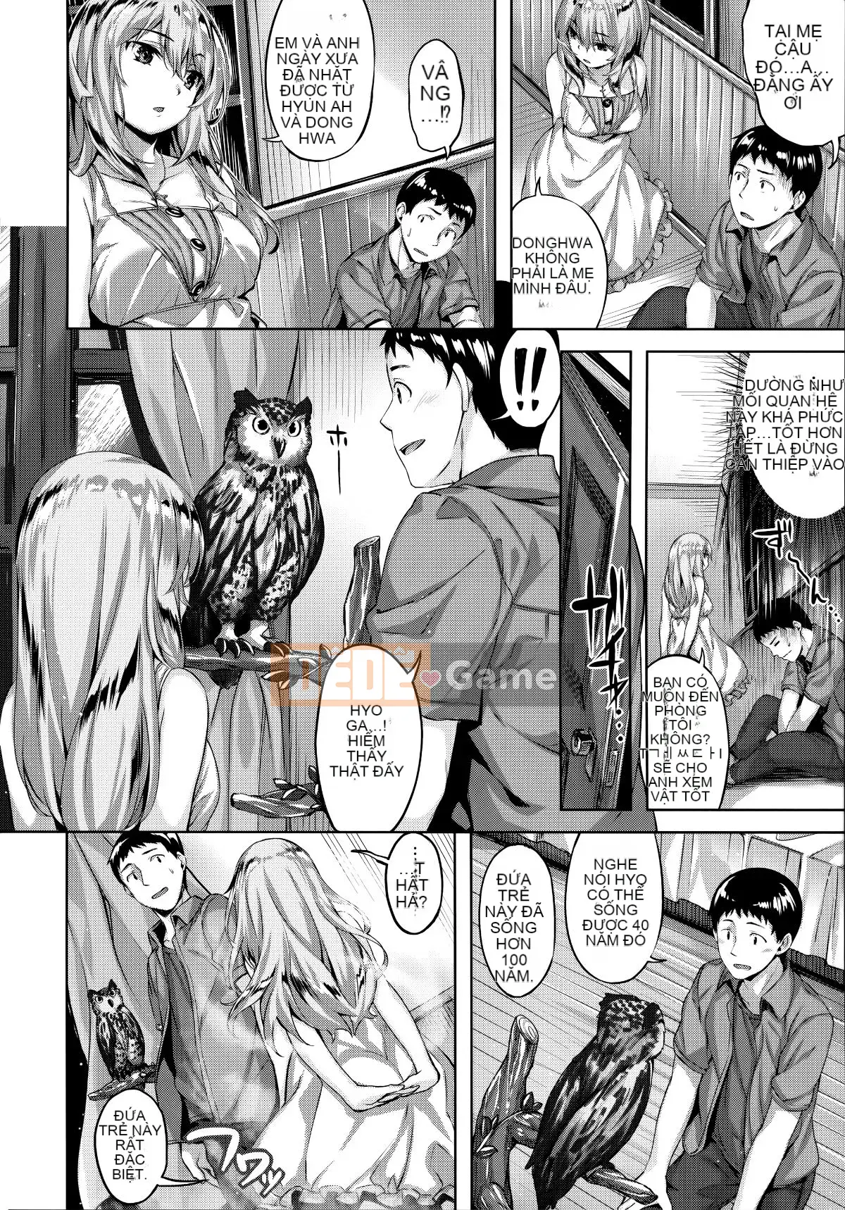 [Hinasakiha] Tôi yêu nó mọi lúc + hố hổ & phần thưởng dưa mật