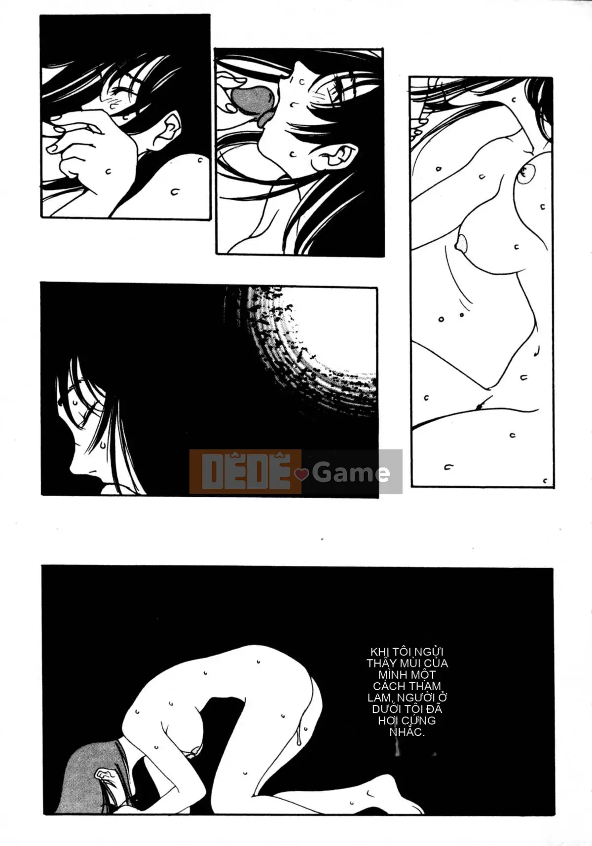 [Ohgure Weijin] Thành phố trong rừng [C]