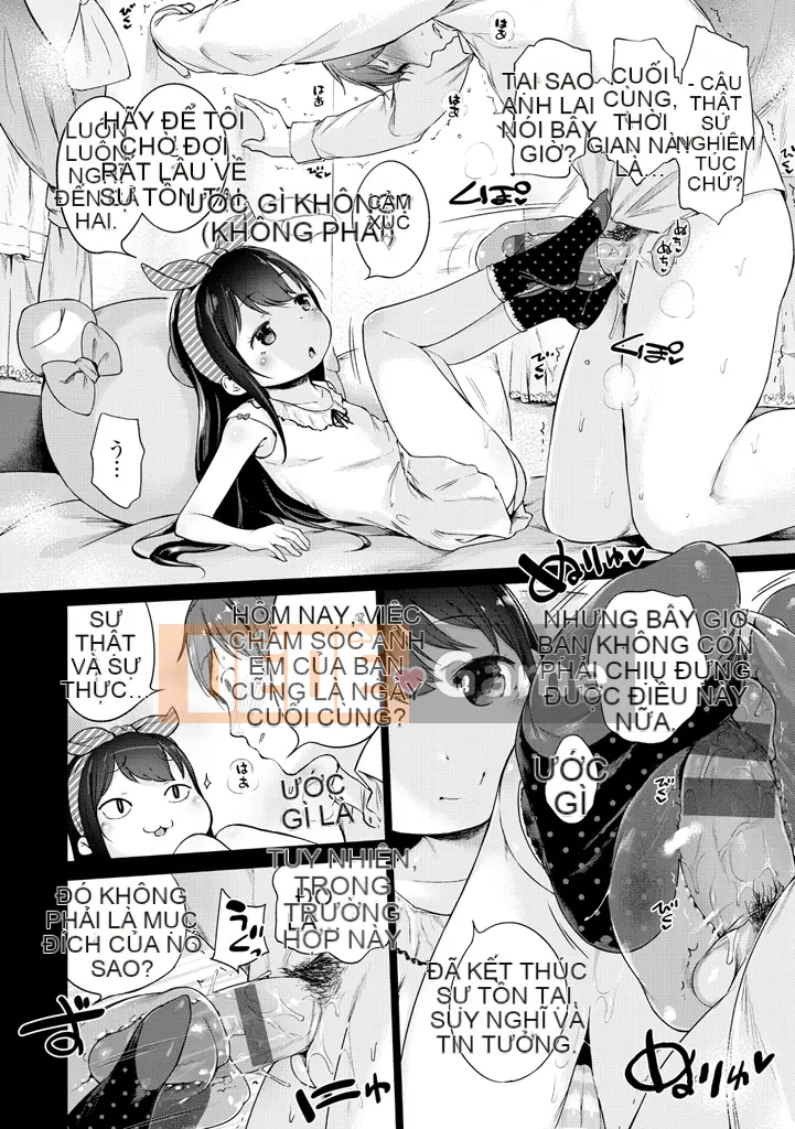 [Người đọc sách] Ruy băng Hatsukoi.