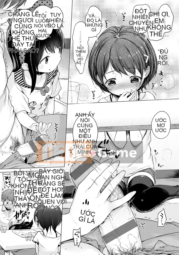 [Người đọc sách] Ruy băng Hatsukoi.