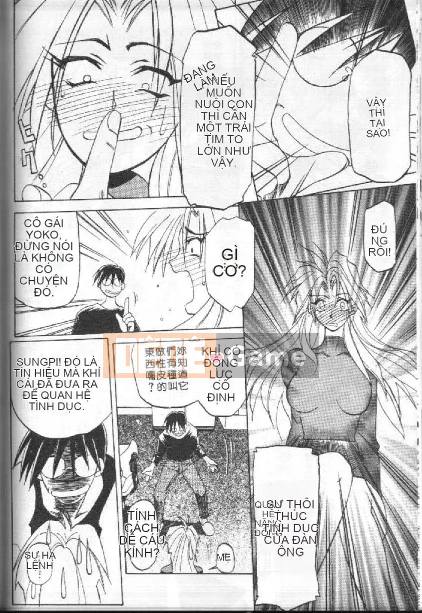 [Yamabunkyoden] 10 sau [中]