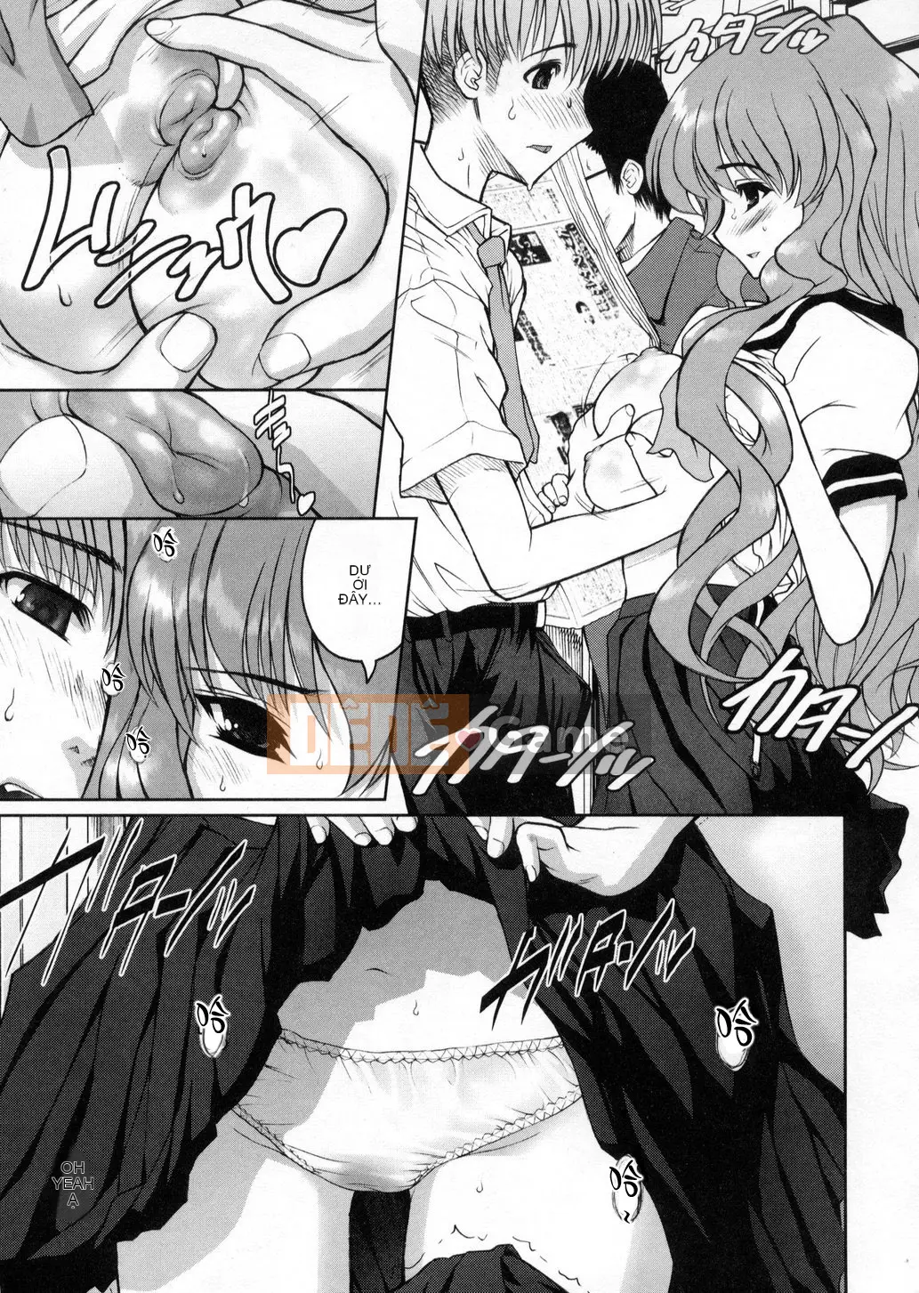 [Raidon] Niềm vui tại nhà [Trung bình]